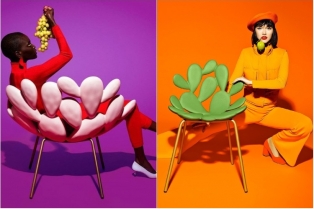 Stolice za ljubitelje kaktusa